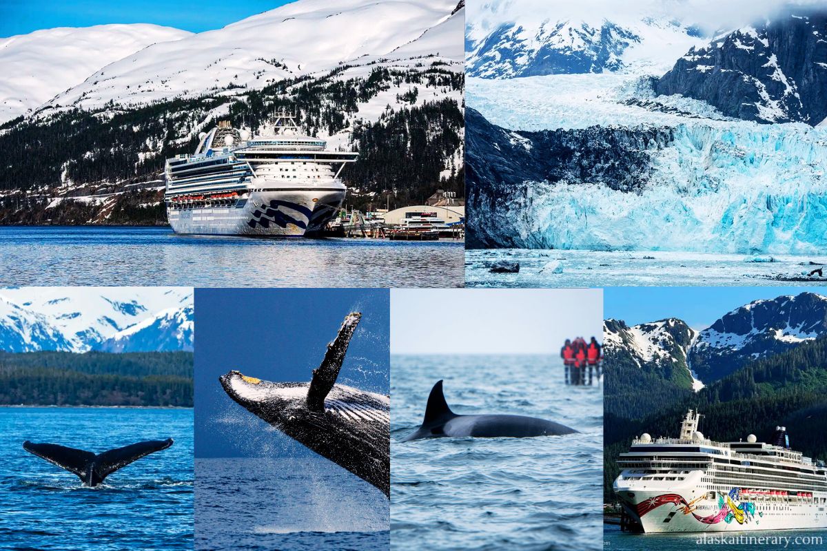 Alaska cruise planner: photo collage with cruise ships, glaciers and whale watching during Alaska cruise.