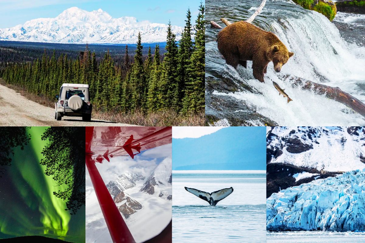 Photo collage with best things to do in Alaska: bear viewing, flighseeing, northern lights viewing, whale watching, glacier cruising and scenic drives.