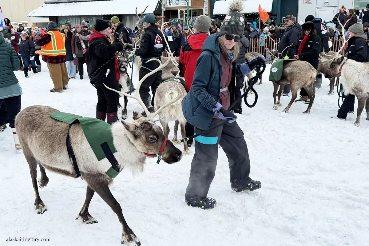 Fur Rondy in Anchorage: Best Events, History, and Visitor Tips