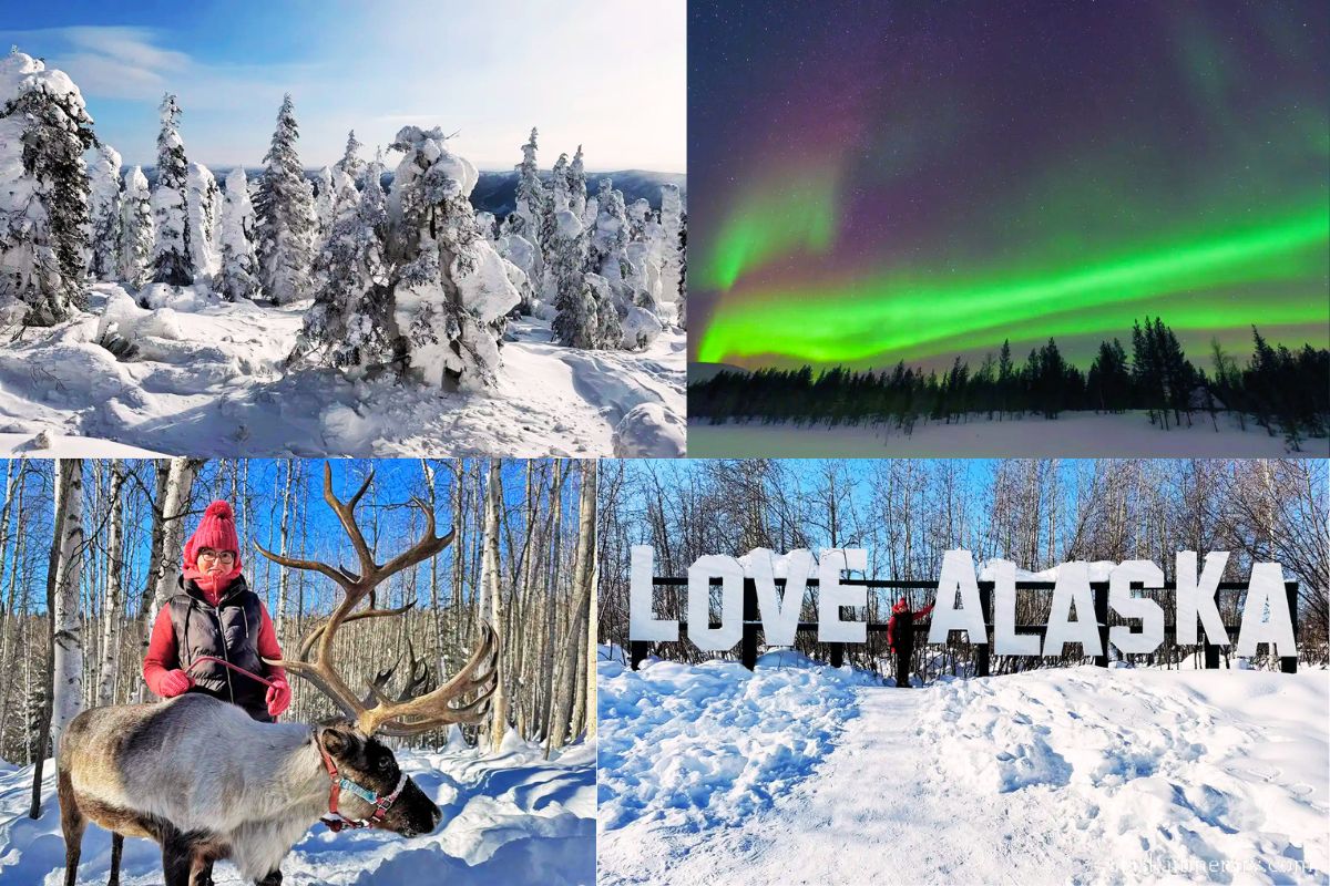 Photo collage: Fairbanks in winter activities: aurora viewing, walk with the reindeer, Arctic Circle tour, taking picture with Love Alaska sign.