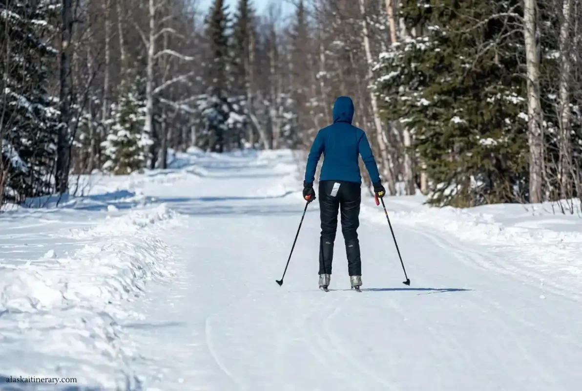 Cross-country skiing in winter landscape.