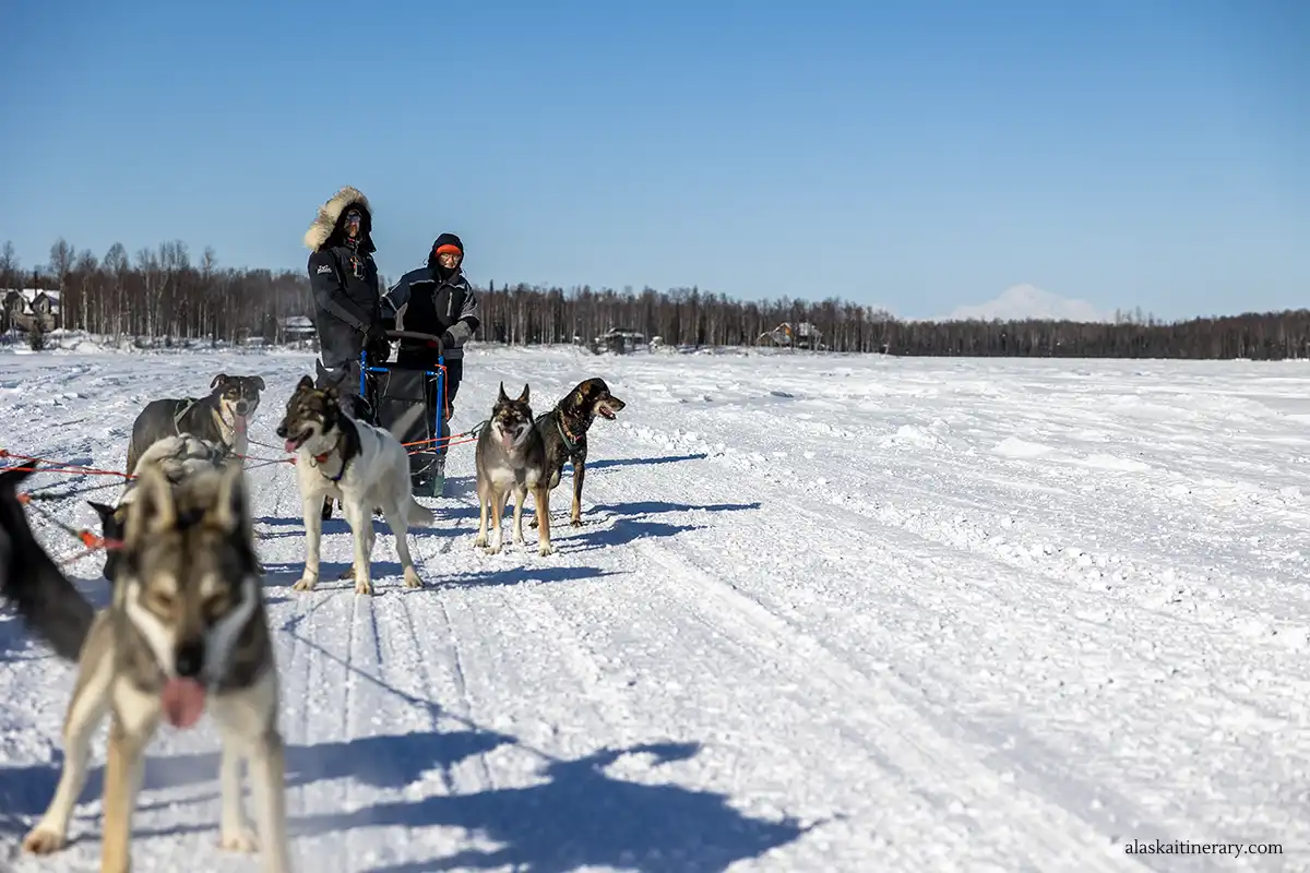 Agnes Stabinska, the author, during winter dog sledding tour in Alaska.