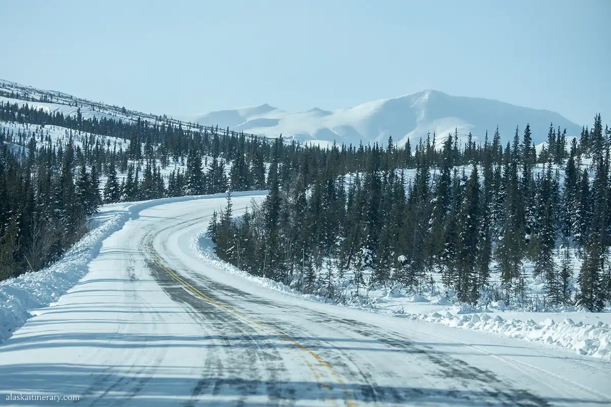 Denali Park Road in winter.