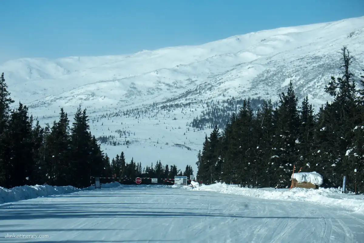 Denali Park Road in winter.