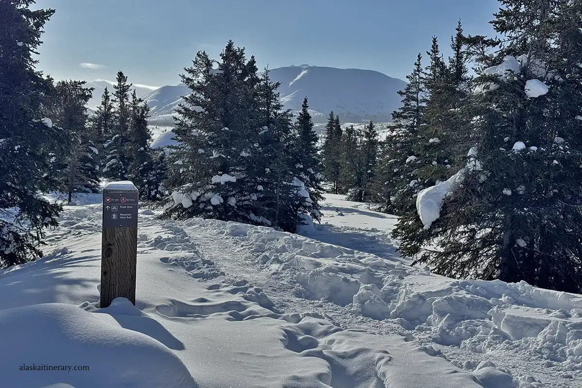 Hiking trail in Denali in winter.