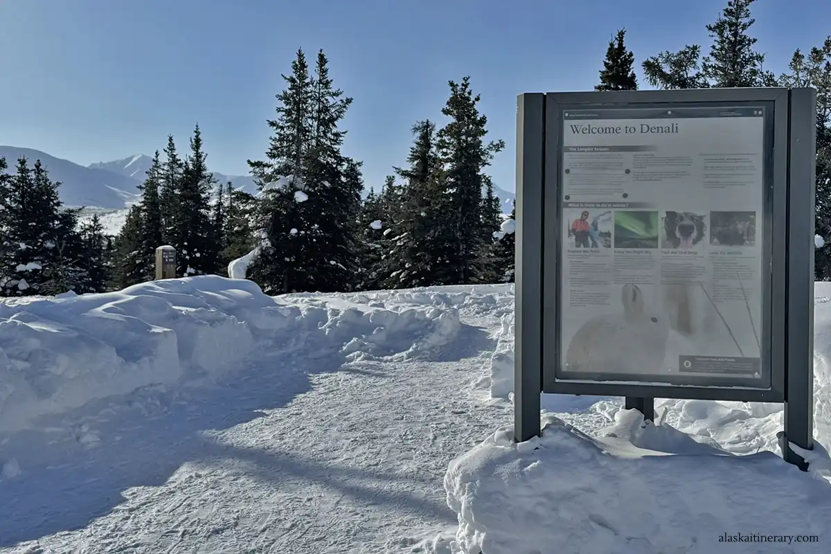 Hiking trail in Denali in winter.