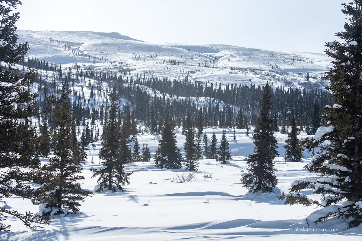 Denali National Park in winter.