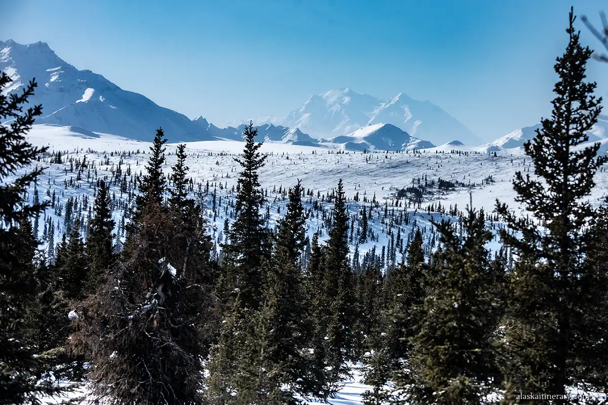 Denali mountain in winter.