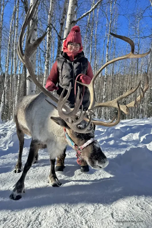 Agnes Stabinska, the author, during reindeer walk in Fairbanks.