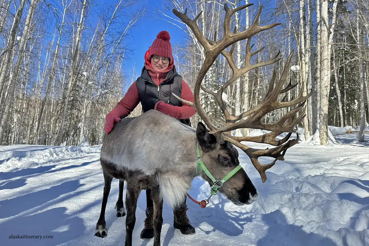 Agnes Stabinska, the author, during reindeer tour in Alaska in winter.