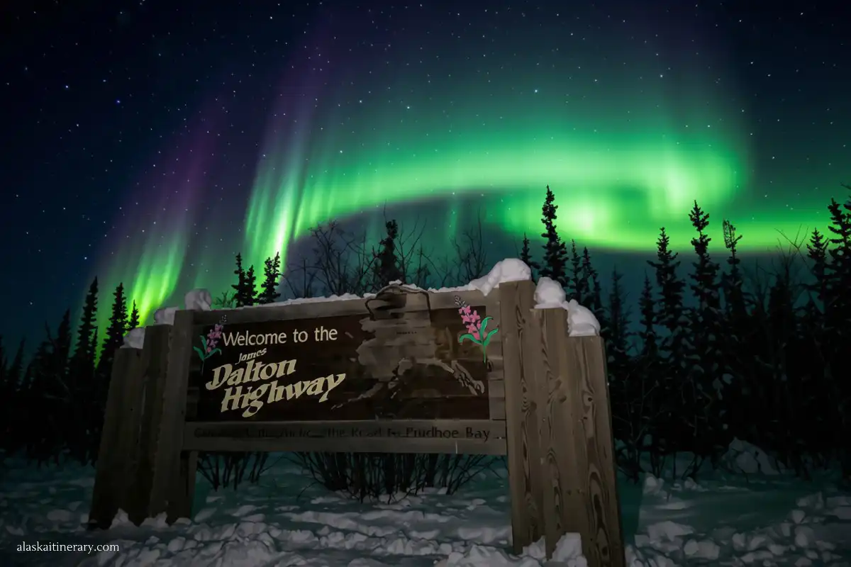 Northern Lights over the Dalton Highway sign during the Arctic Circle tour.
