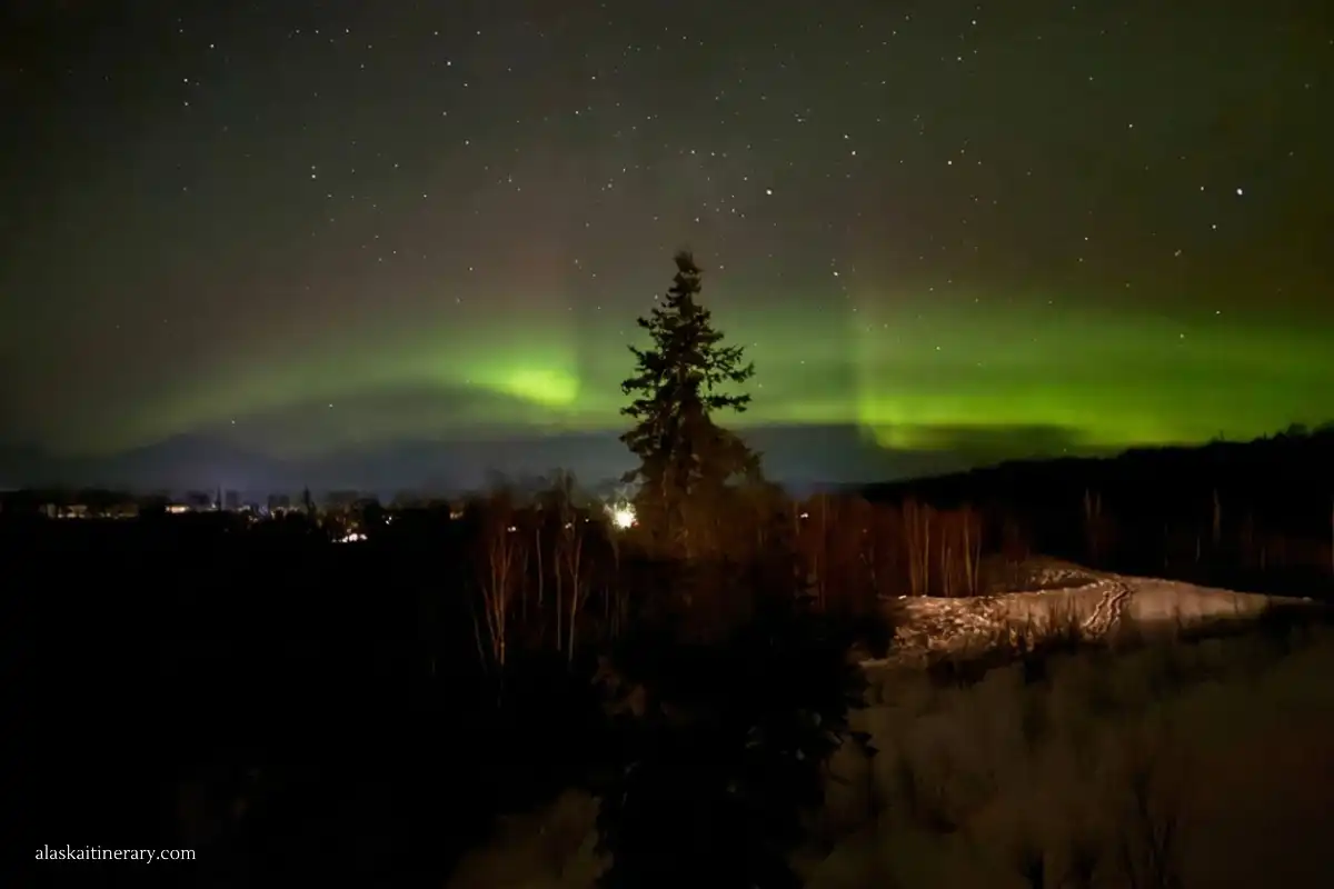 Northern Lights viewing from Talkeetna Alaskan Lodge.